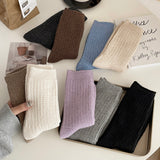 デイリーウォーム_レディース 厚手 裏起毛 あったかウールソックス