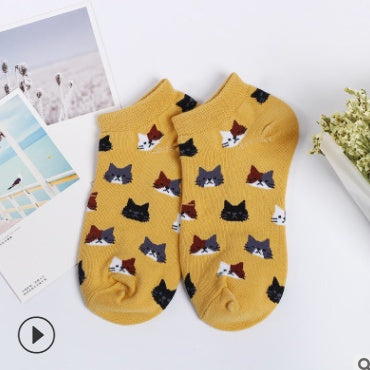 [ セット商品 ] レディース 猫柄 コットンソックス（５足）