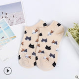 [ セット商品 ] レディース 猫柄 コットンソックス（５足）